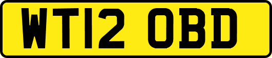 WT12OBD