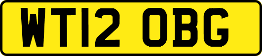 WT12OBG