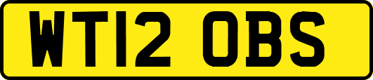 WT12OBS