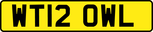 WT12OWL