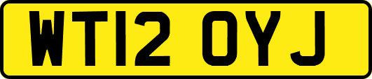 WT12OYJ