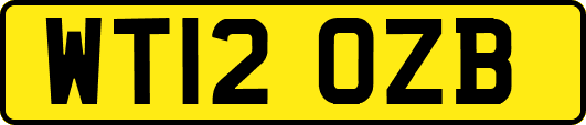 WT12OZB