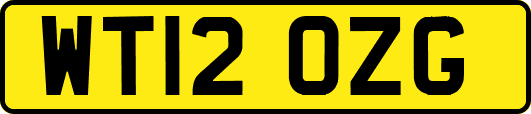 WT12OZG