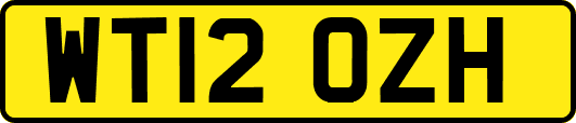 WT12OZH