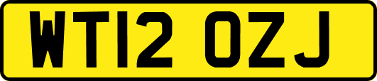 WT12OZJ