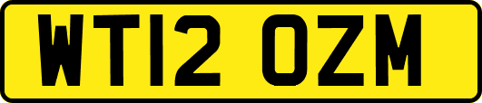 WT12OZM