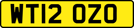 WT12OZO