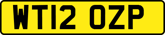 WT12OZP