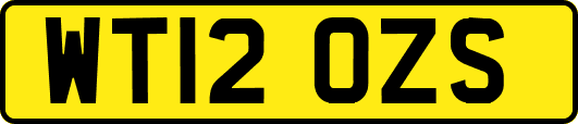 WT12OZS