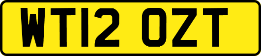 WT12OZT