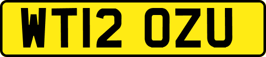WT12OZU