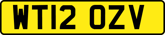 WT12OZV