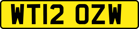 WT12OZW