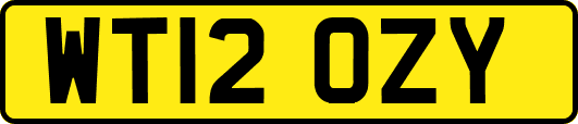 WT12OZY