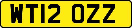 WT12OZZ