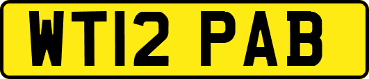 WT12PAB