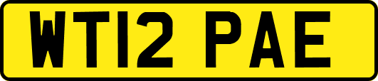 WT12PAE