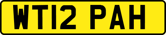 WT12PAH