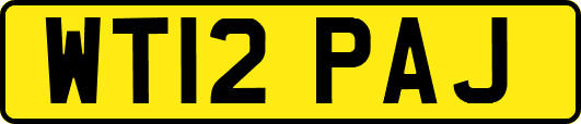 WT12PAJ