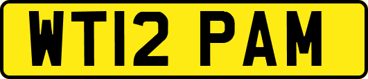 WT12PAM