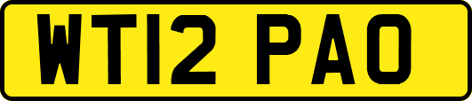 WT12PAO