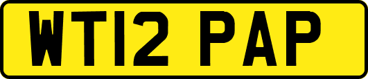 WT12PAP