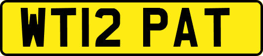 WT12PAT