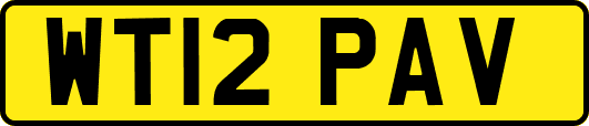 WT12PAV