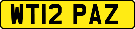 WT12PAZ