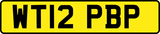 WT12PBP