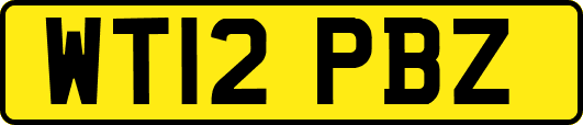 WT12PBZ