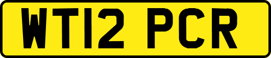 WT12PCR