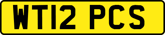 WT12PCS