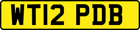 WT12PDB