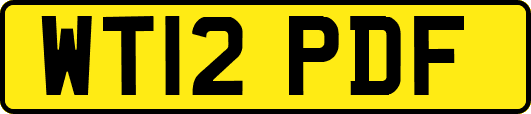 WT12PDF