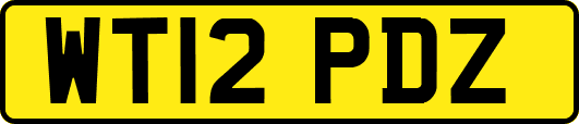 WT12PDZ