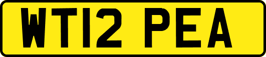 WT12PEA