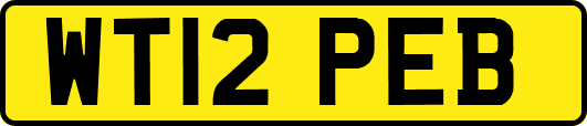 WT12PEB