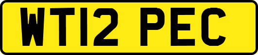 WT12PEC