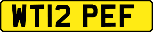 WT12PEF