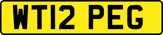 WT12PEG