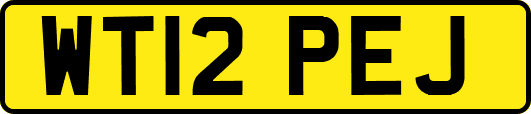 WT12PEJ