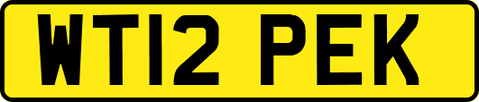 WT12PEK