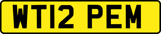 WT12PEM