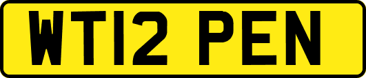 WT12PEN
