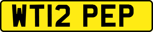 WT12PEP