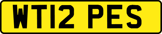 WT12PES