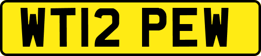 WT12PEW