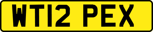 WT12PEX