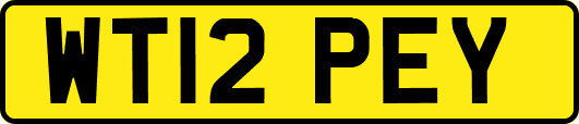 WT12PEY